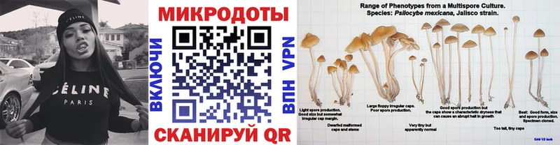 Купить закладки  Белоусово  Псилоцибиновые грибы GOLDEN TEACHER 